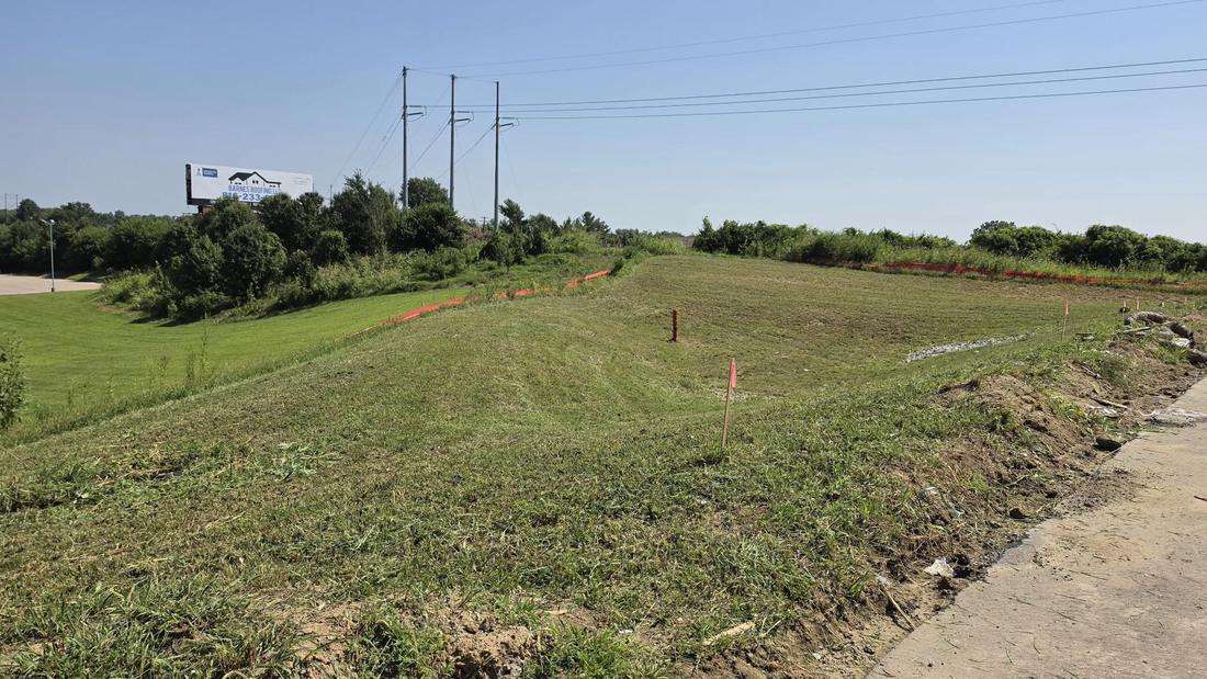 Cleared overgrown hillside