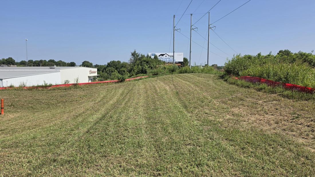 Clearing an overgrown property