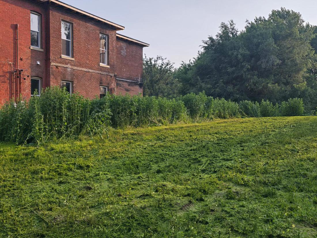 Overgrown lot cleared to fresh mowed grass