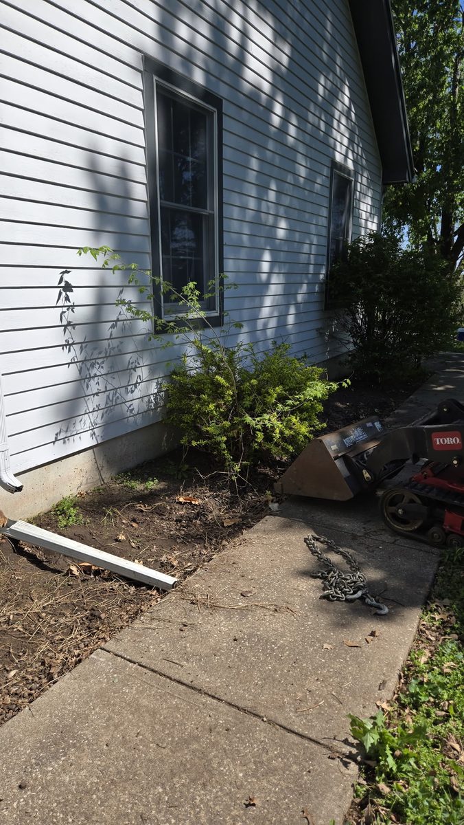 Overgrown foundation bed before river rock landscaping