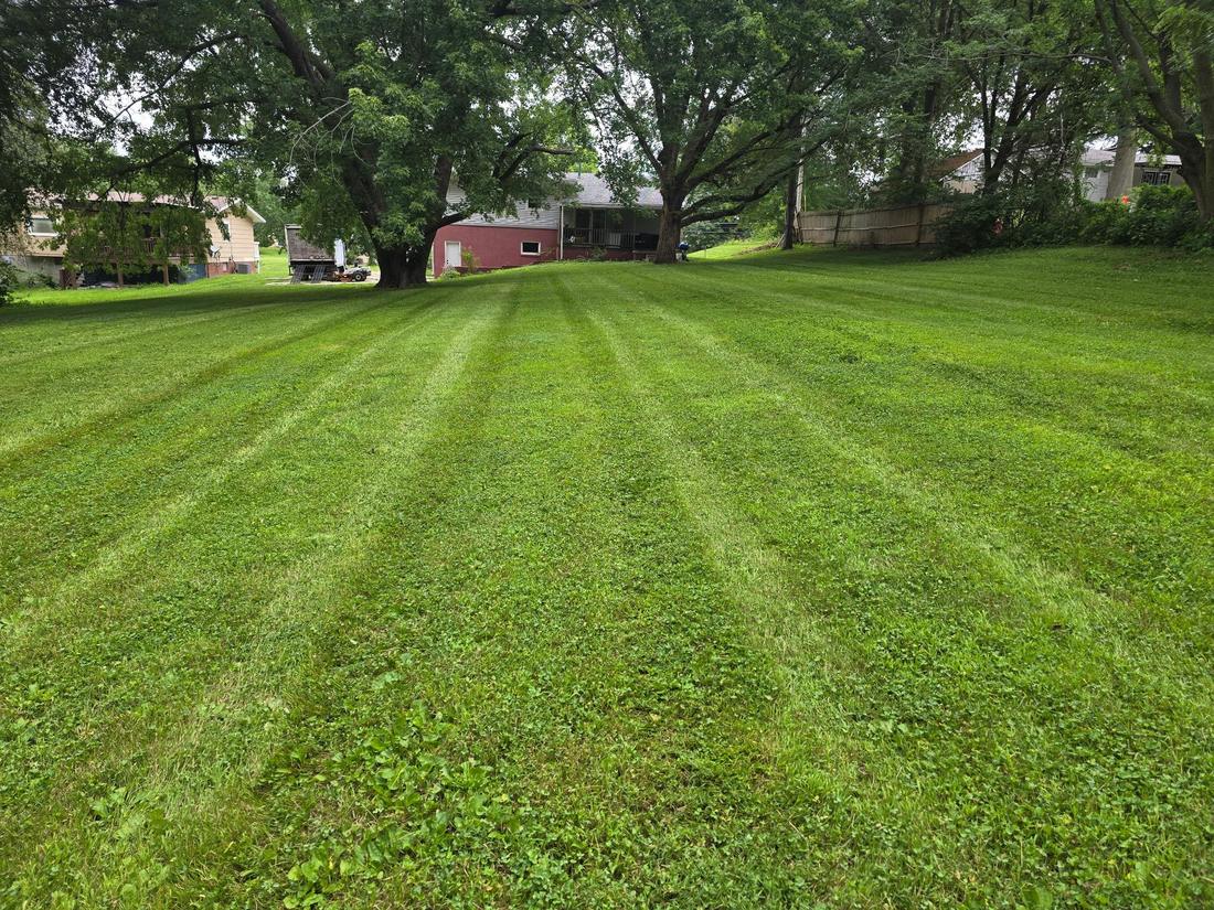 Freshly mowed striped lawn
