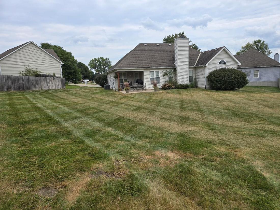Striped mowed lawn