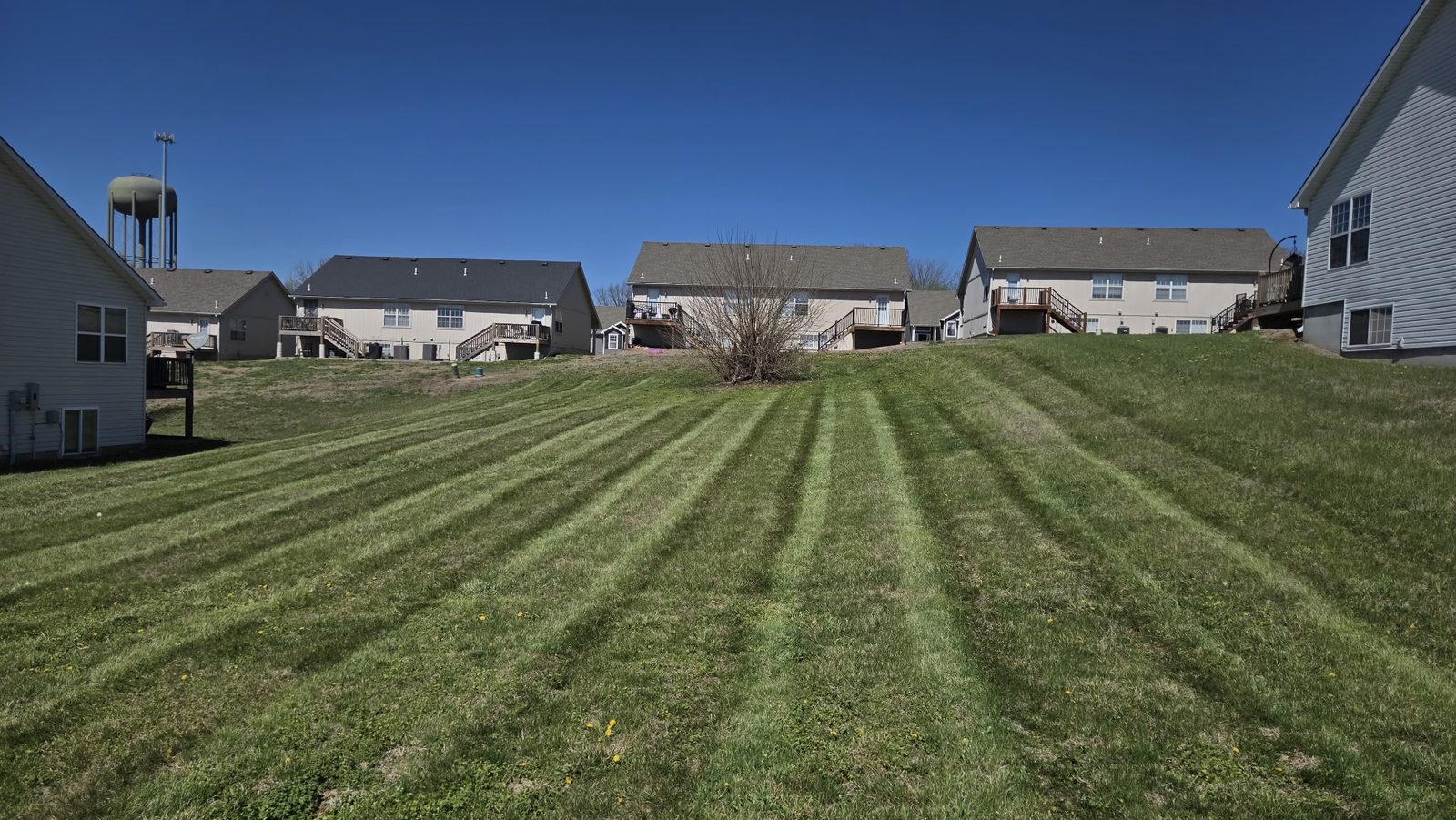 Freshly striped sloped lawn
