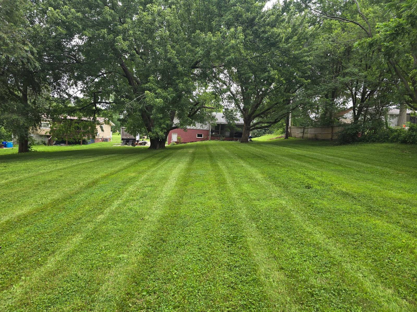 Freshly striped mowed lawn
